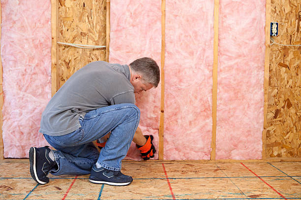 Best Commercial Insulation in St Helen, MI